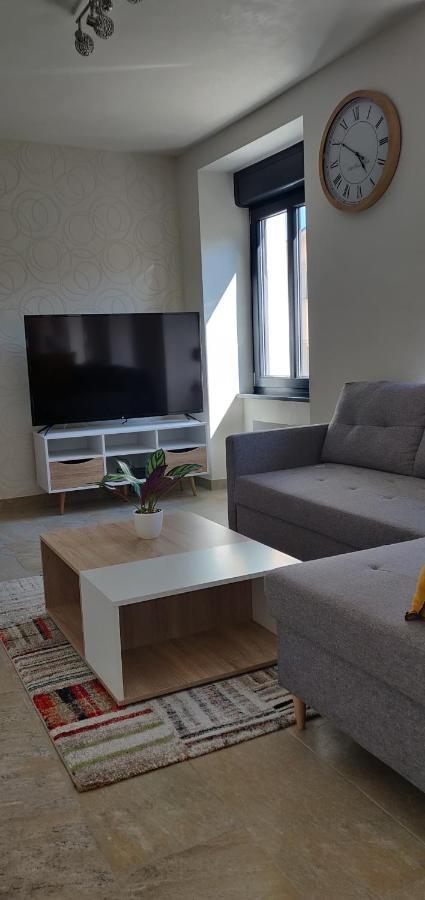 Le Cygne, Appartement De Standing En Hyper-Centre Sarreguemines Εξωτερικό φωτογραφία