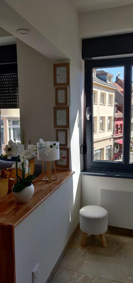 Le Cygne, Appartement De Standing En Hyper-Centre Sarreguemines Εξωτερικό φωτογραφία